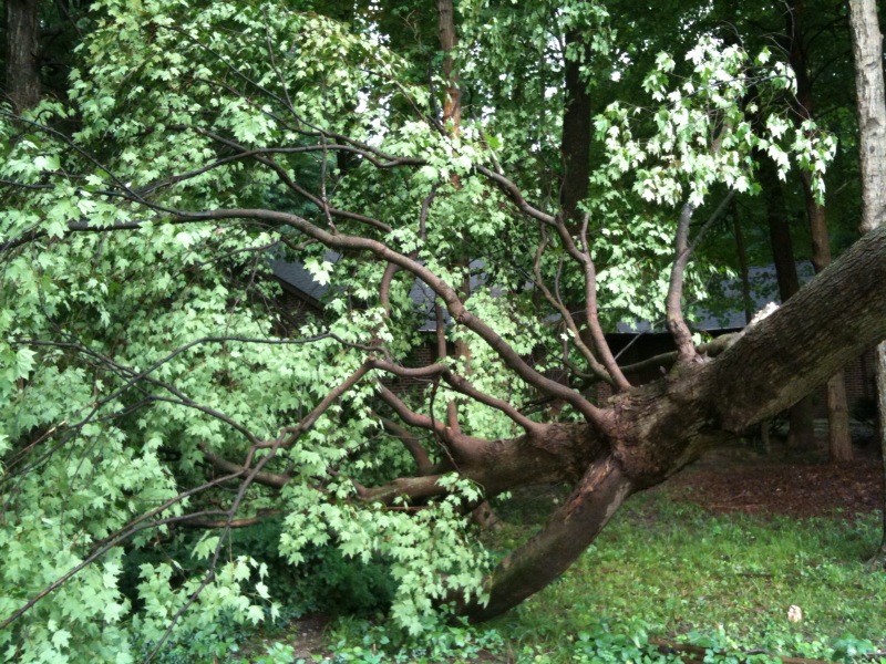 20100613 - Storm Damage 01